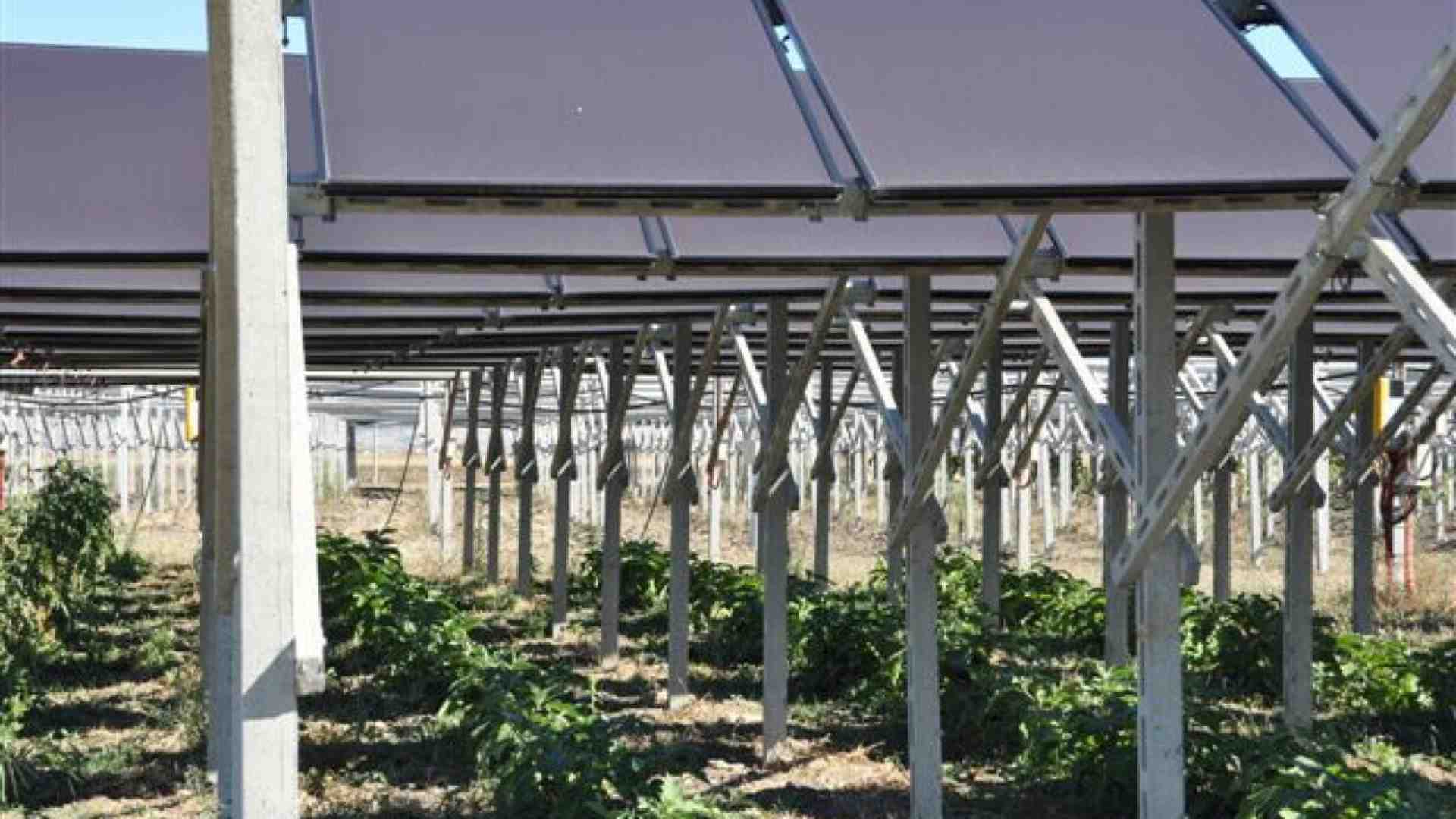 Il problema delle rinnovabili non è il nucleare ma il nuovo Nimby