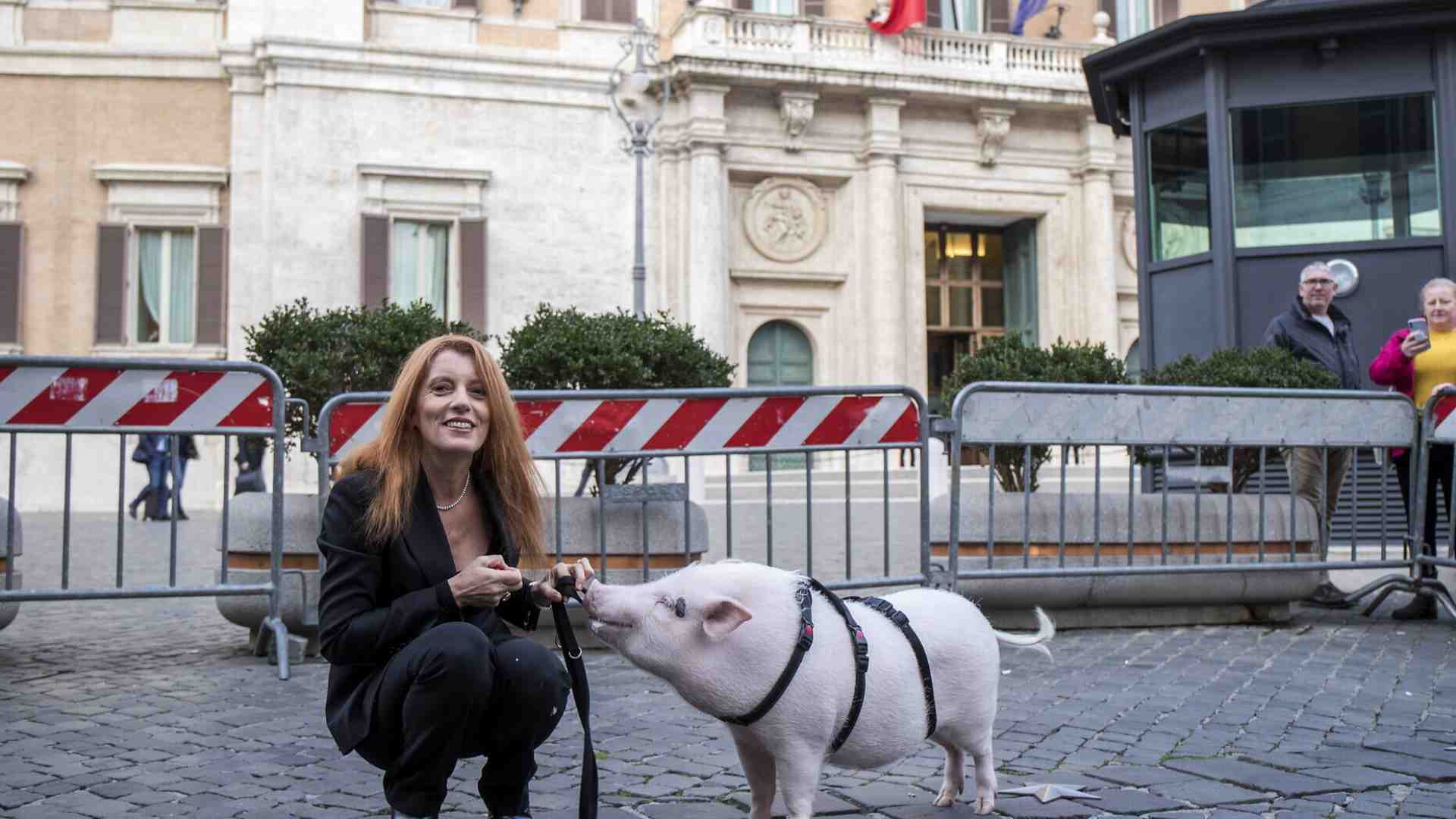 L'arca di Ignazio. Tra dubbi sanitari e logistici l’idea del Senato aperto agli animali domestici non decolla