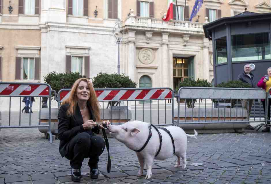 L'arca di Ignazio. Tra dubbi sanitari e logistici l’idea del Senato aperto agli animali domestici non decolla