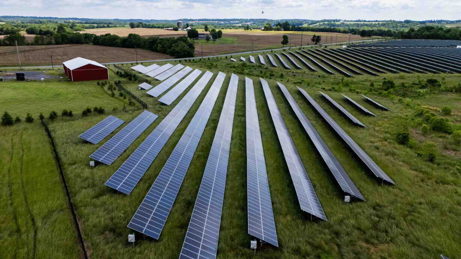 Sberle all’ambientalismo ideologico