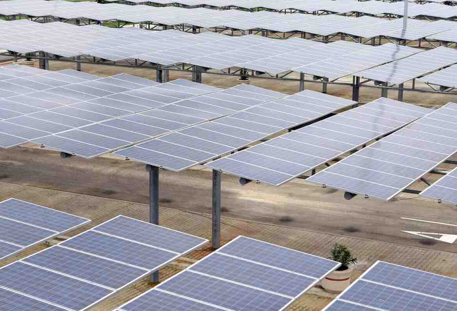 Ecologismo razionale e libero mercato. Una risposta