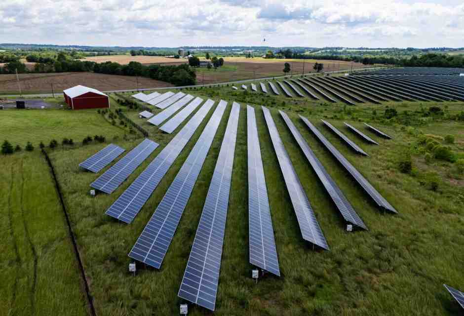 Sberle all’ambientalismo ideologico