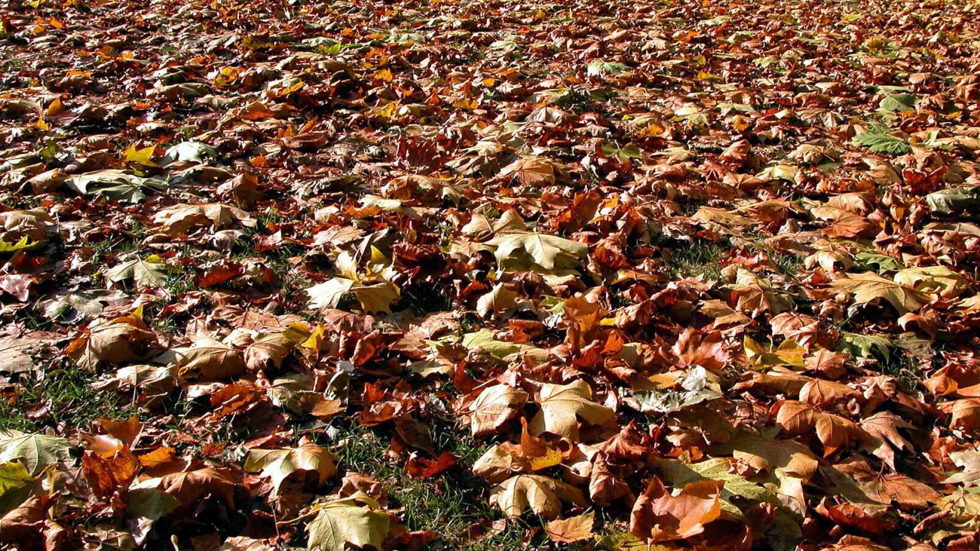 Che cosa c’è di sbagliato nell’essere sentimentali e permalosi?