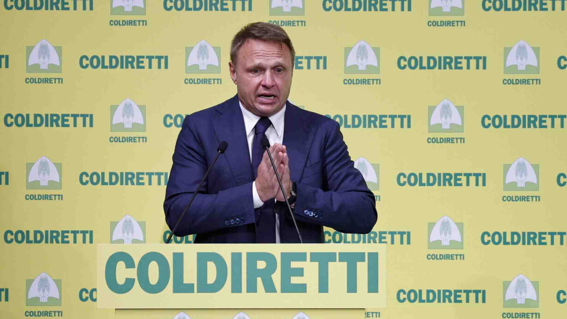 Storia dei due schiaffi europei rifilati a Lollo sulla carne sintetica