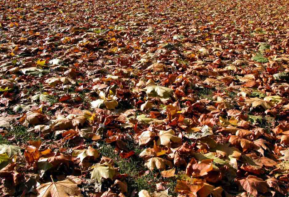 Che cosa c’è di sbagliato nell’essere sentimentali e permalosi?