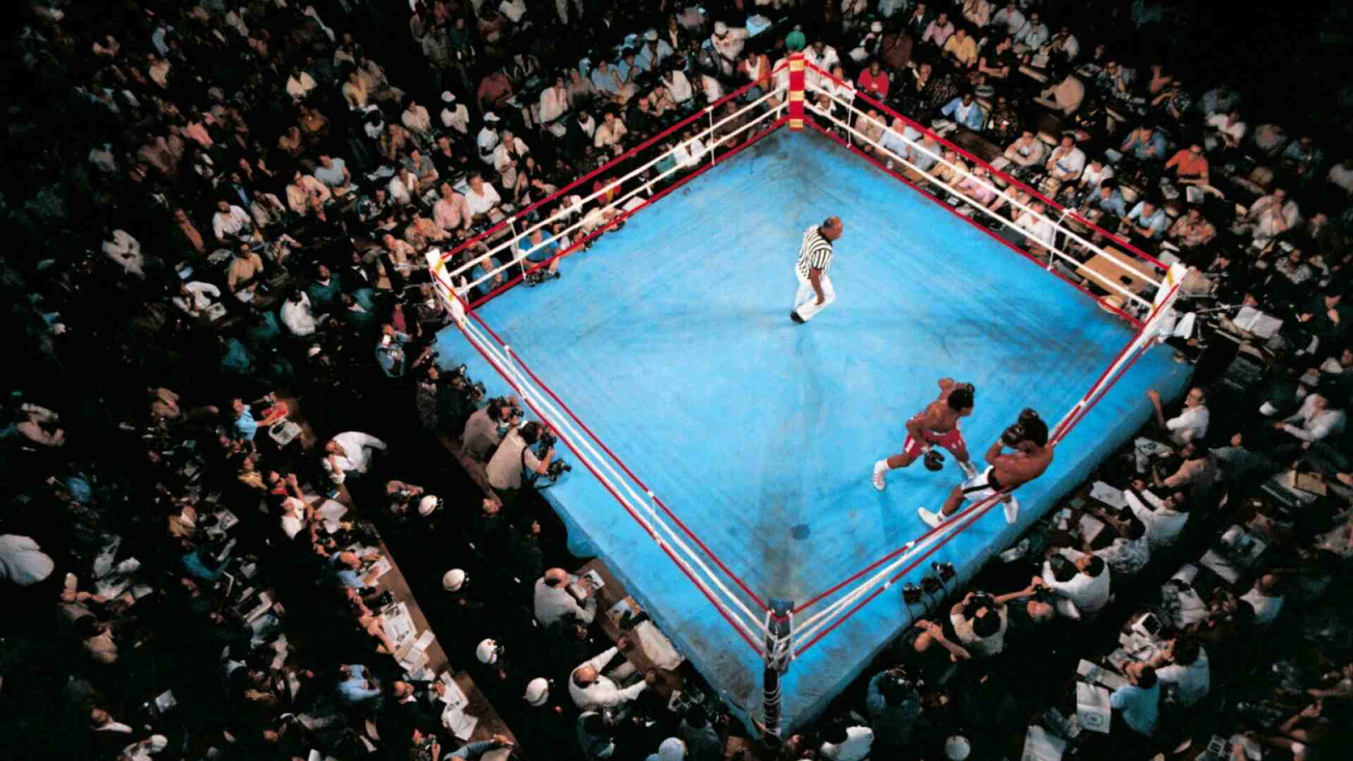 “Che notte quella con Ali a Kinshasa”. Il grande fotografo Neil Leifer racconta “The Rumble in the Jungle”