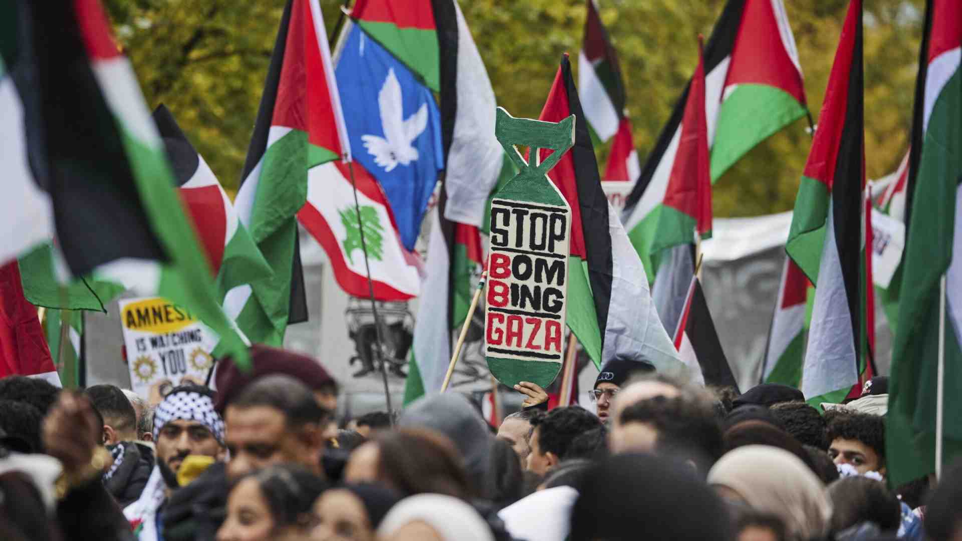 “Dicono no alle arance di Jaffa, silenti su Cina, Russia e Iran”. Gli ipocriti letterari contro Israele