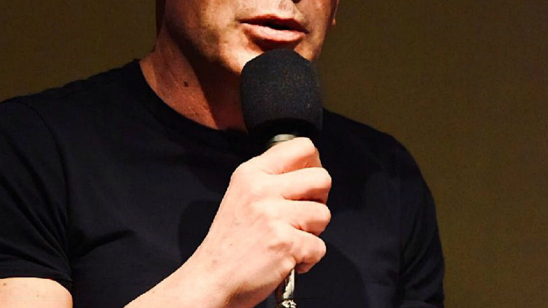 «Il mio obiettivo? Bravi interpreti e spettacoli freschi»