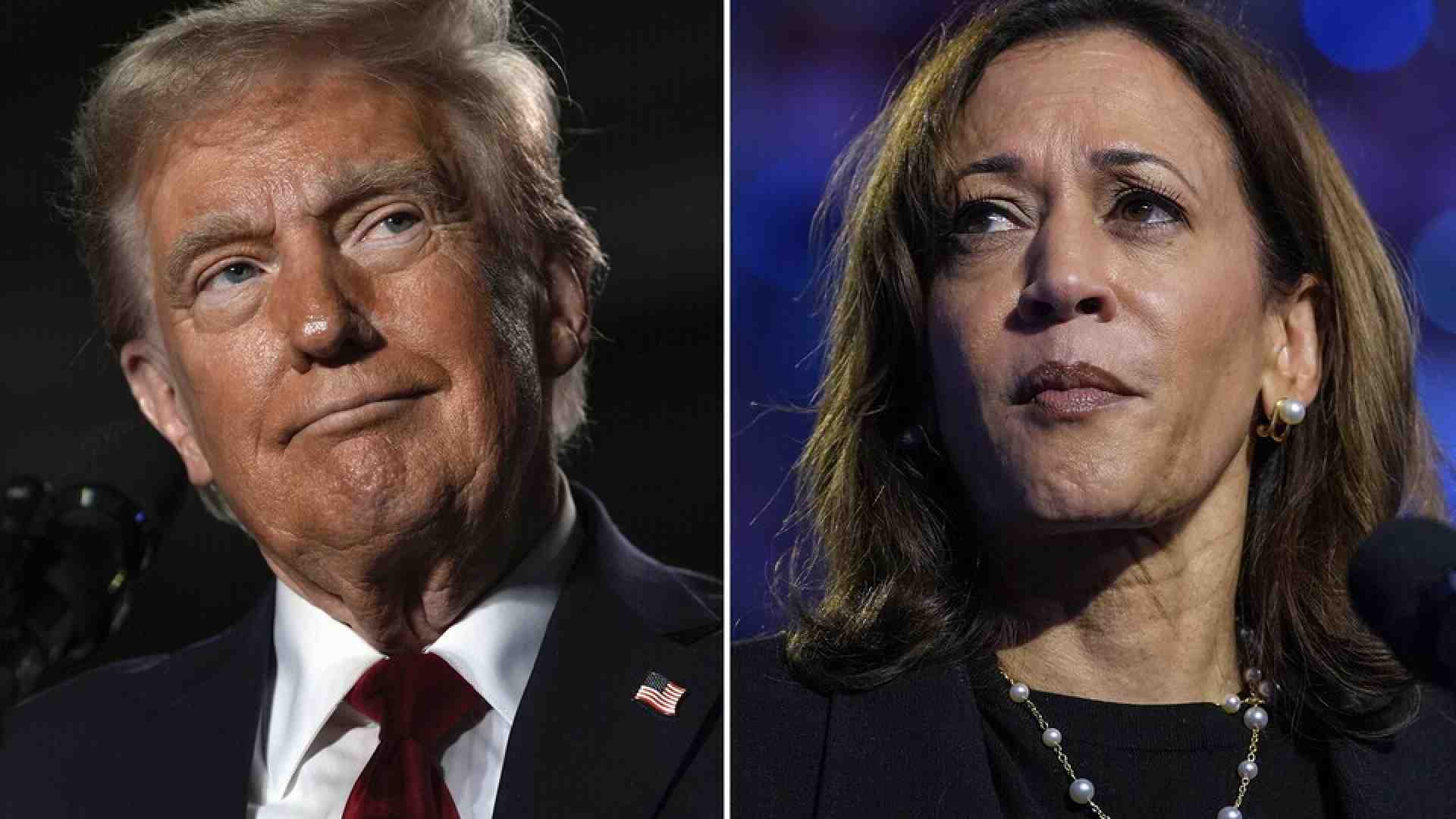 Altro che campo largo. Gli elettori di centrosinistra voterebbero Harris, i grillini Trump