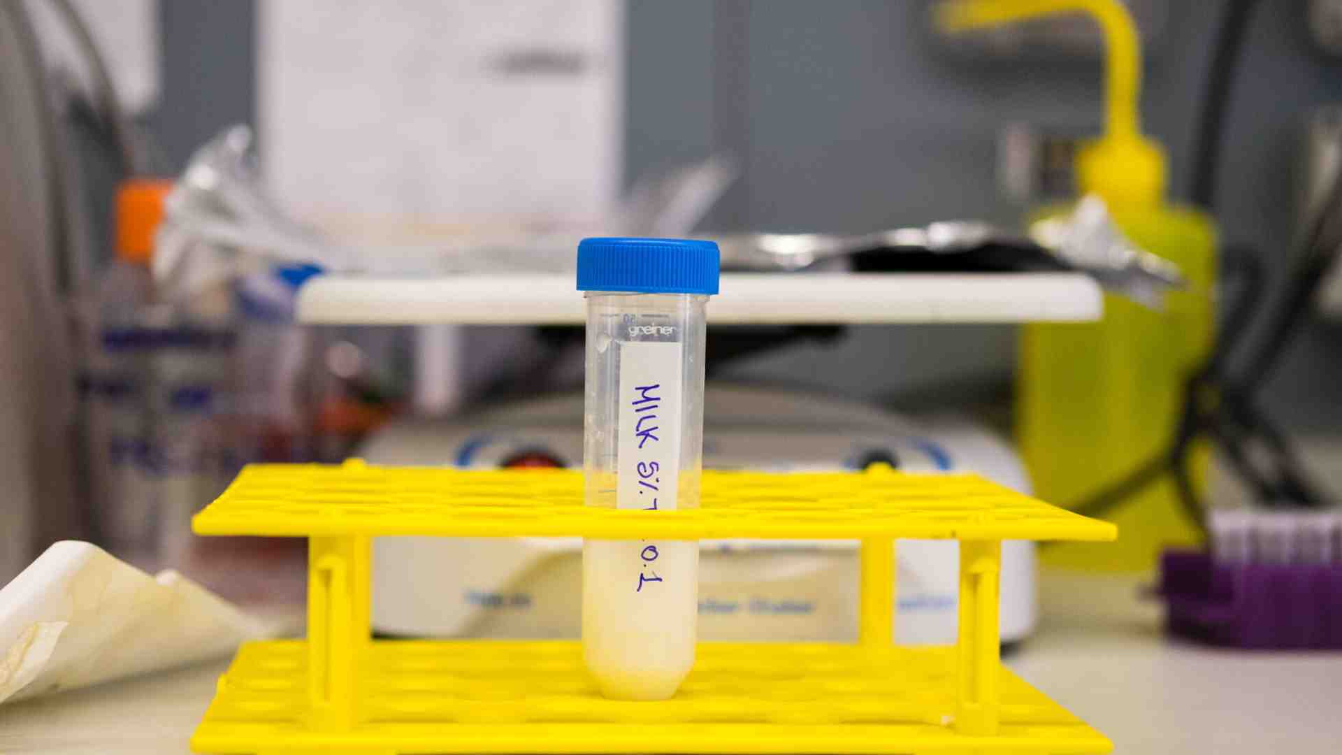 Il concetto di specie e il vantaggio della modifica genetica