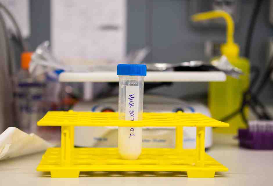 Il concetto di specie e il vantaggio della modifica genetica