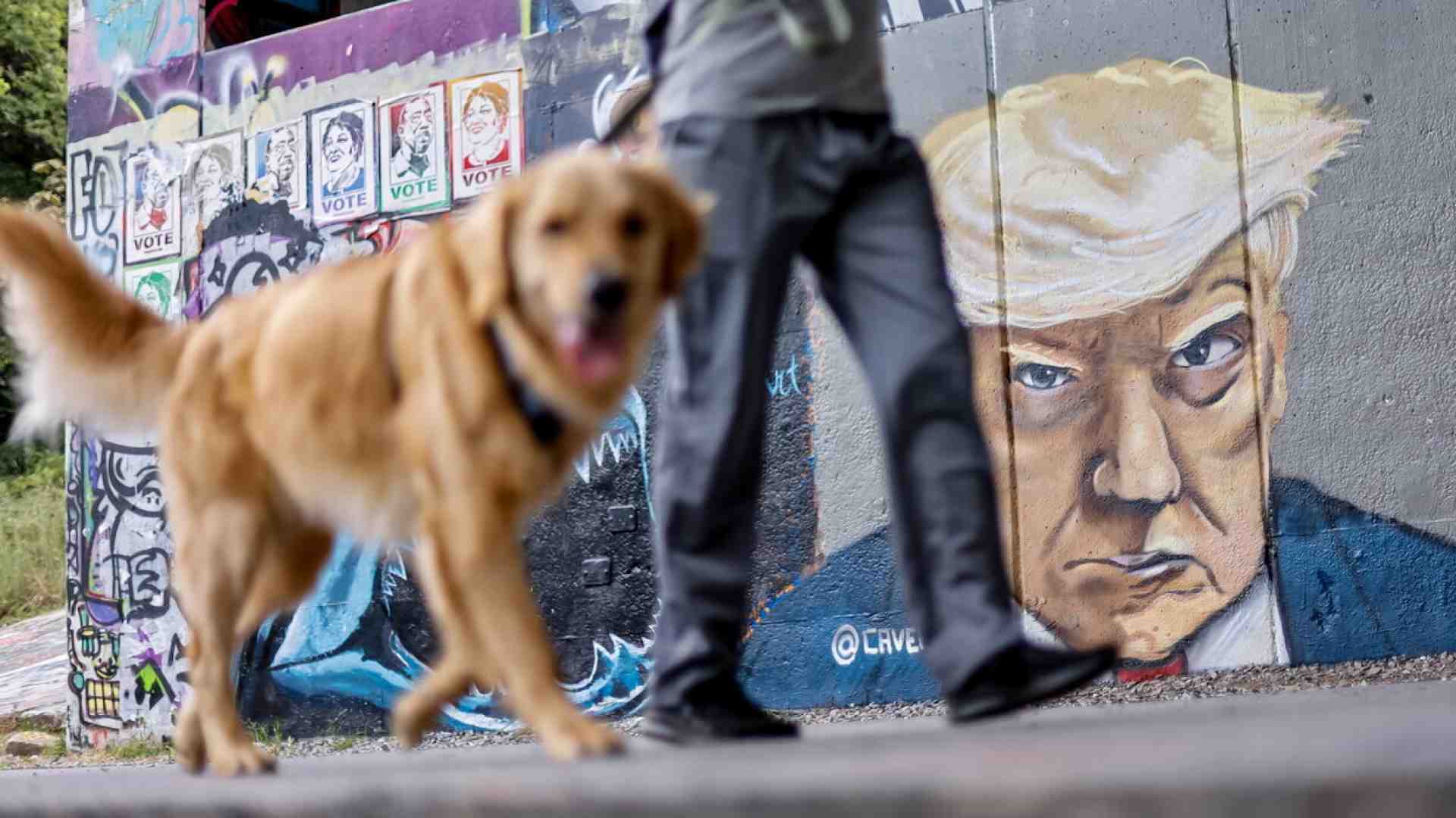 Mangiavano cani e gatti, hanno votato Trump perché gli cambi il menù
