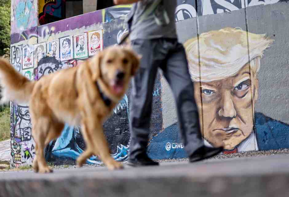 Mangiavano cani e gatti, hanno votato Trump perché gli cambi il menù