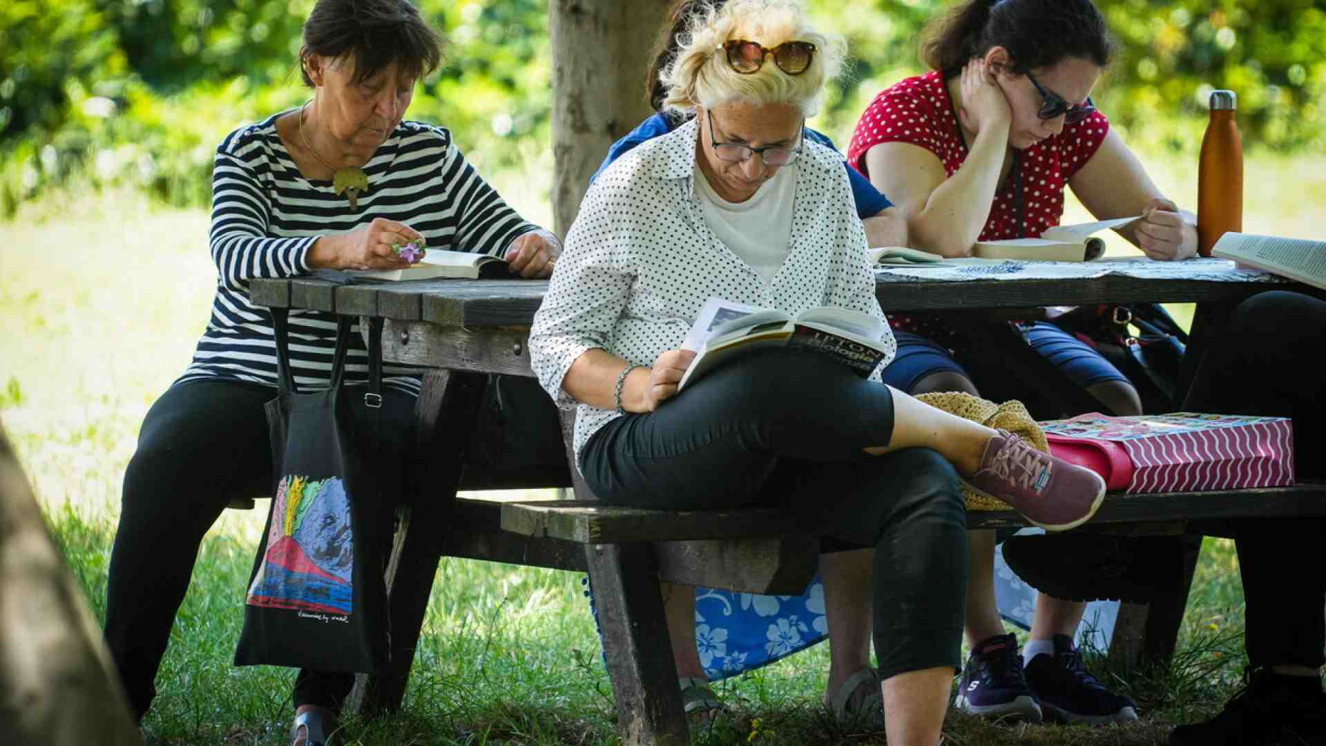 La verità va cercata nella lettera