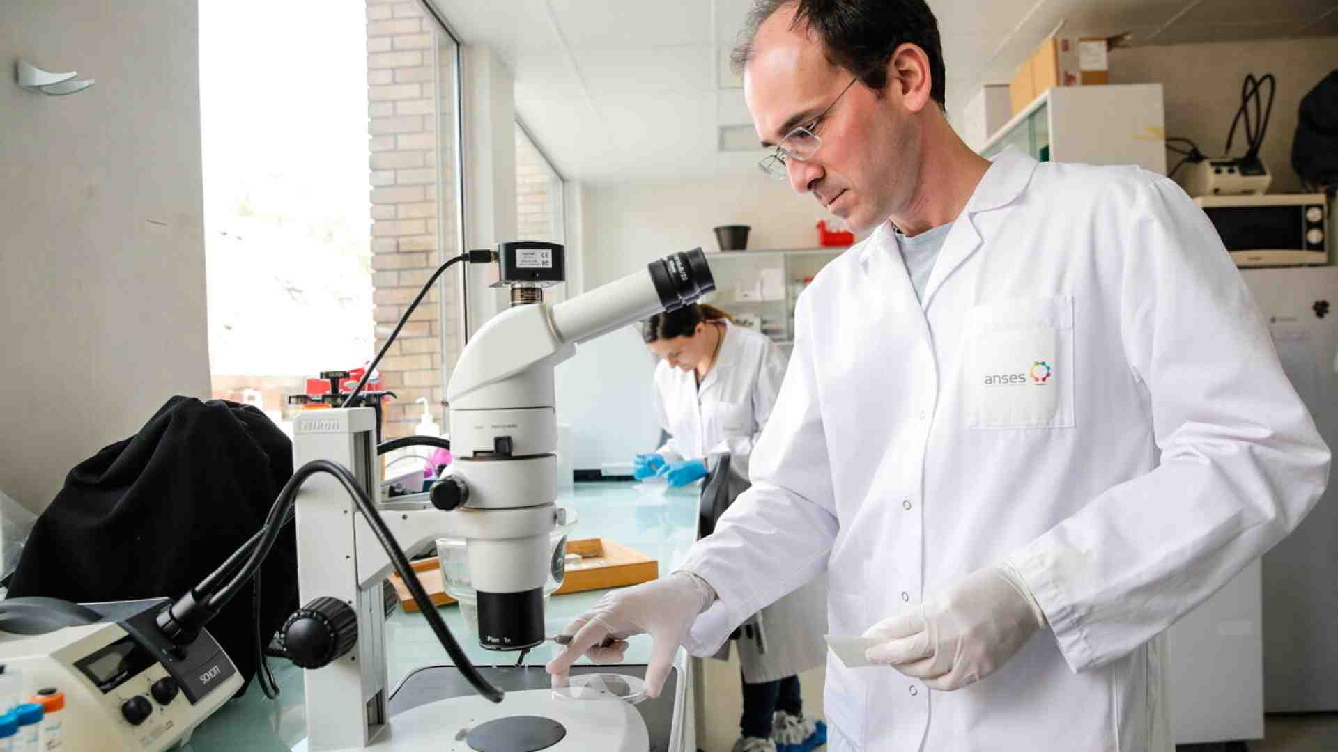 La pandemia che non vogliamo vedere: quella dei batteri resistenti ai farmaci