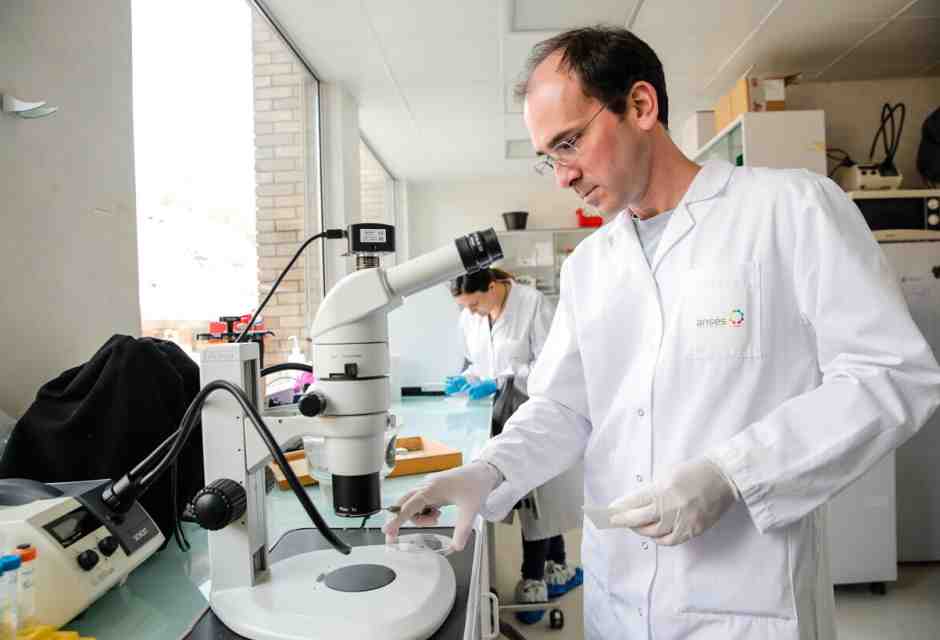 La pandemia che non vogliamo vedere: quella dei batteri resistenti ai farmaci