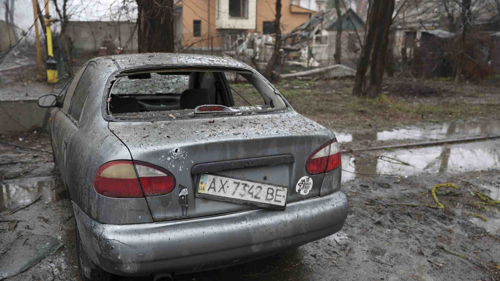 Vivere ogni giorno, come se fosse l’ultimo. Lettera da me e il mio cane