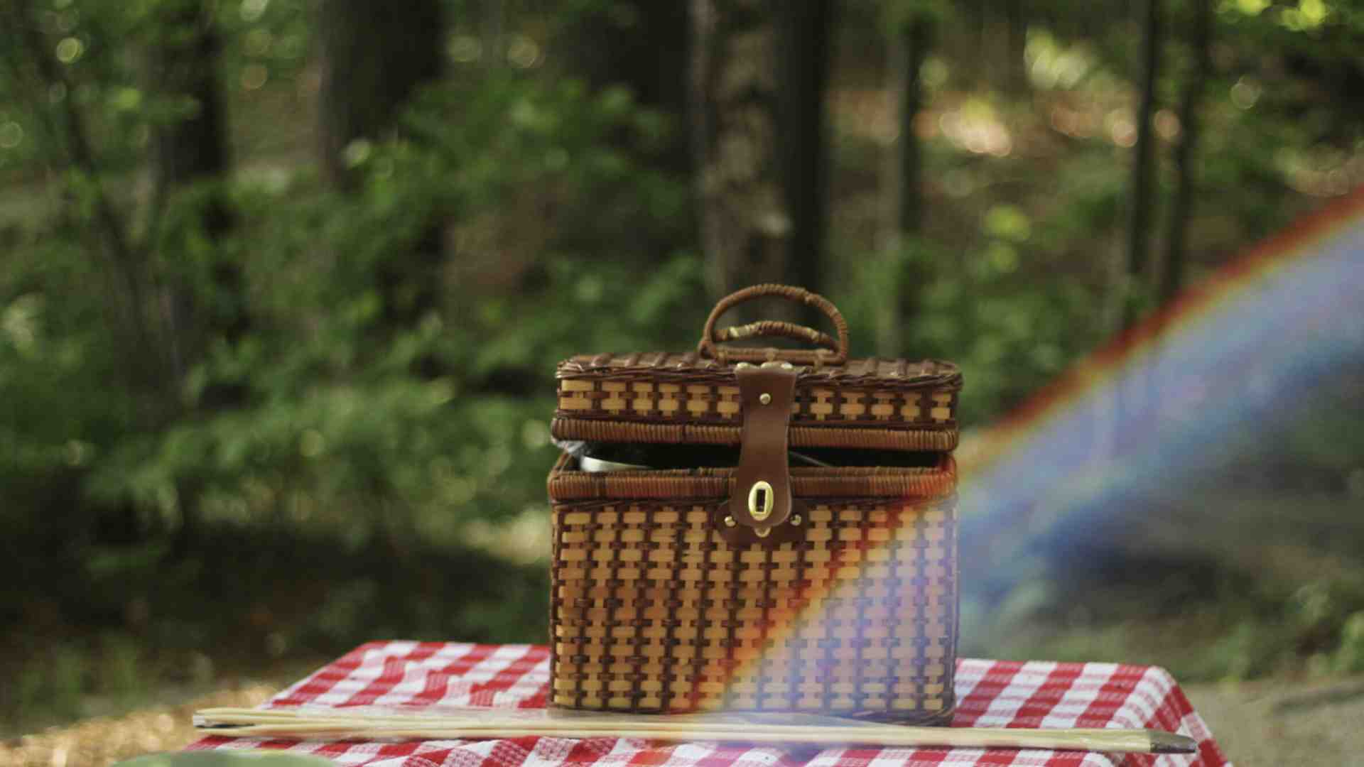 Il cestino da picnic mi salvi dai ristoranti commerciali