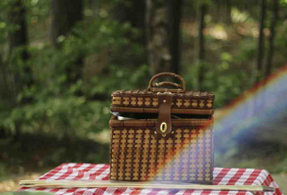 Il cestino da picnic mi salvi dai ristoranti commerciali