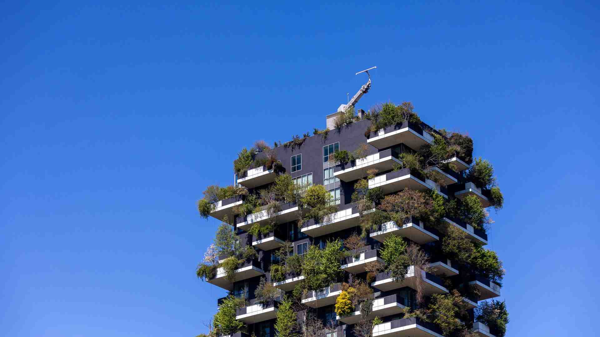 Il Bosco Verticale festeggia 10 anni: tutta la storia in un libro