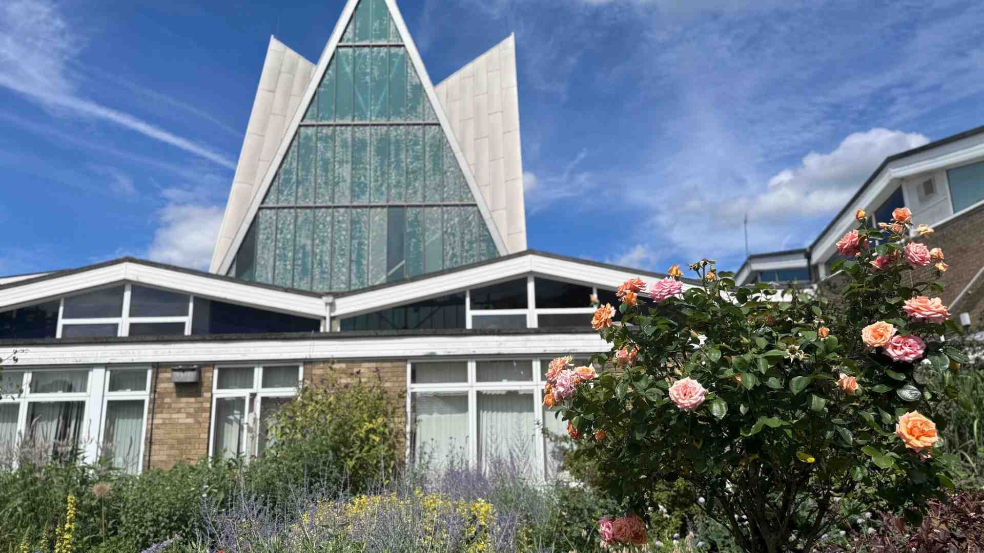 Le ossessioni delle università che hanno spento la gioia di studiare qualcosa di interessante