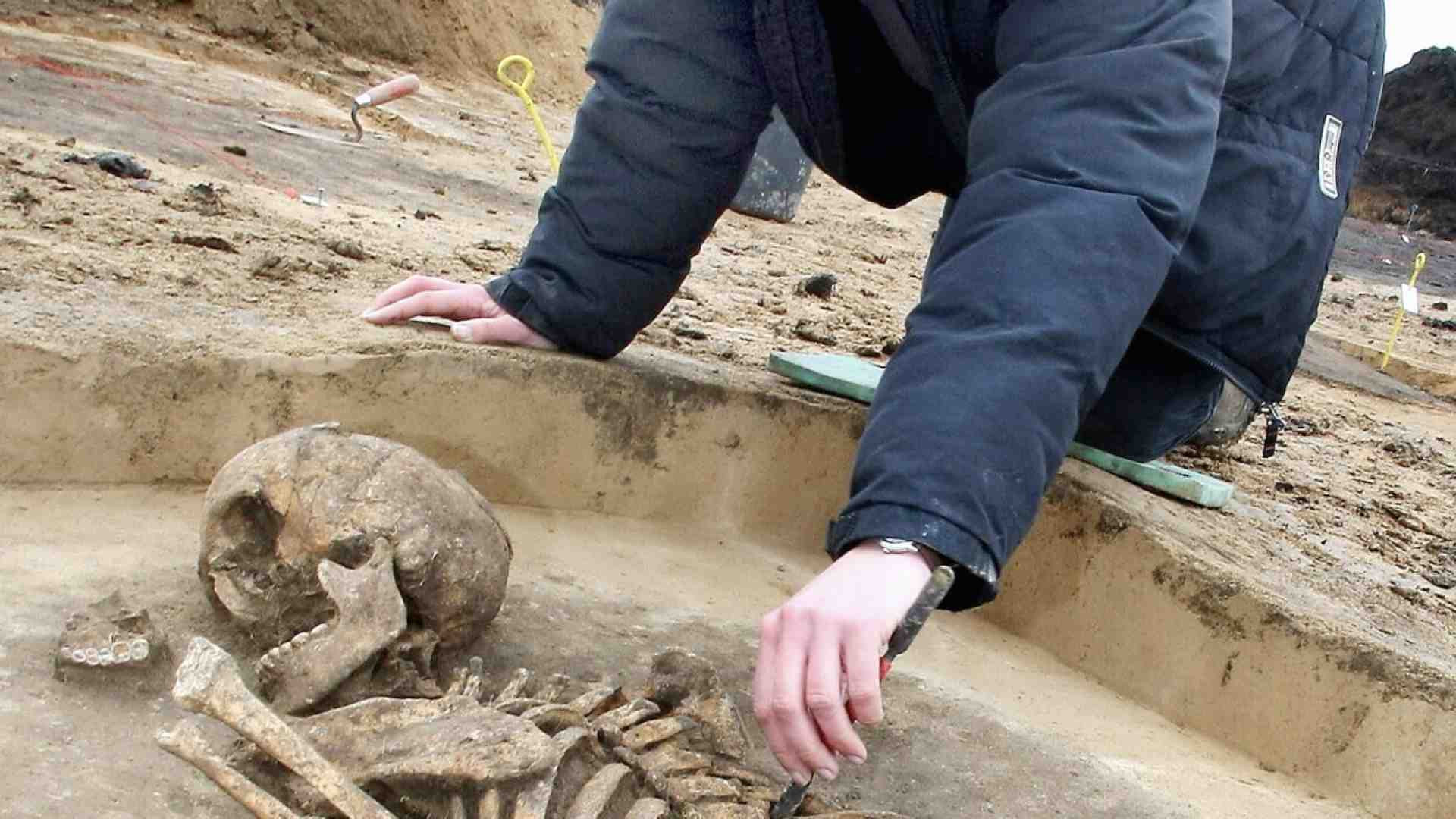 L'esilarante queer archaeology che vuole identificare le ossa come “non binarie”