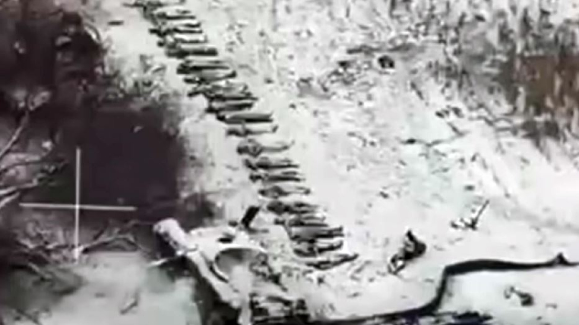 Zelensky: «Impossibile riprendere il Donbass». Denuncia choc sui russi