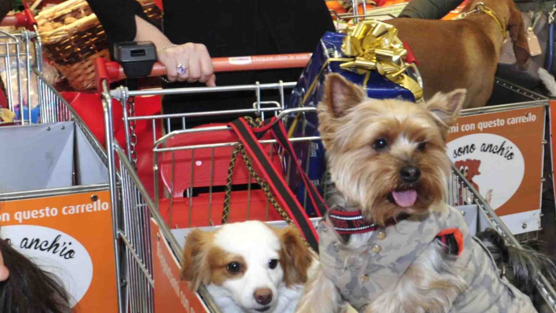 Macché buon Natale: buon Canile!