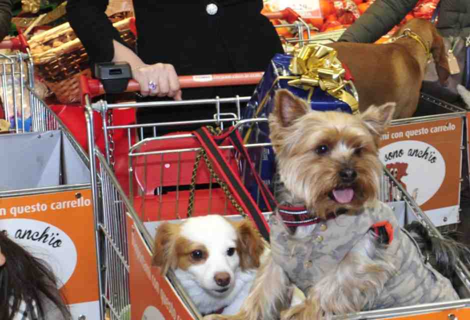 Macché buon Natale: buon Canile!