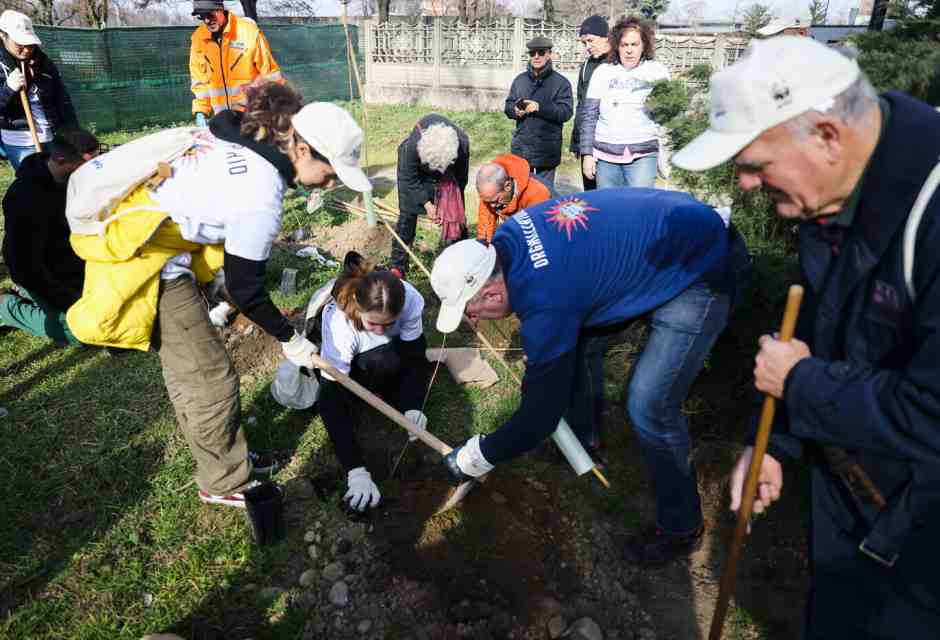 No, non è mica facile piantare alberi