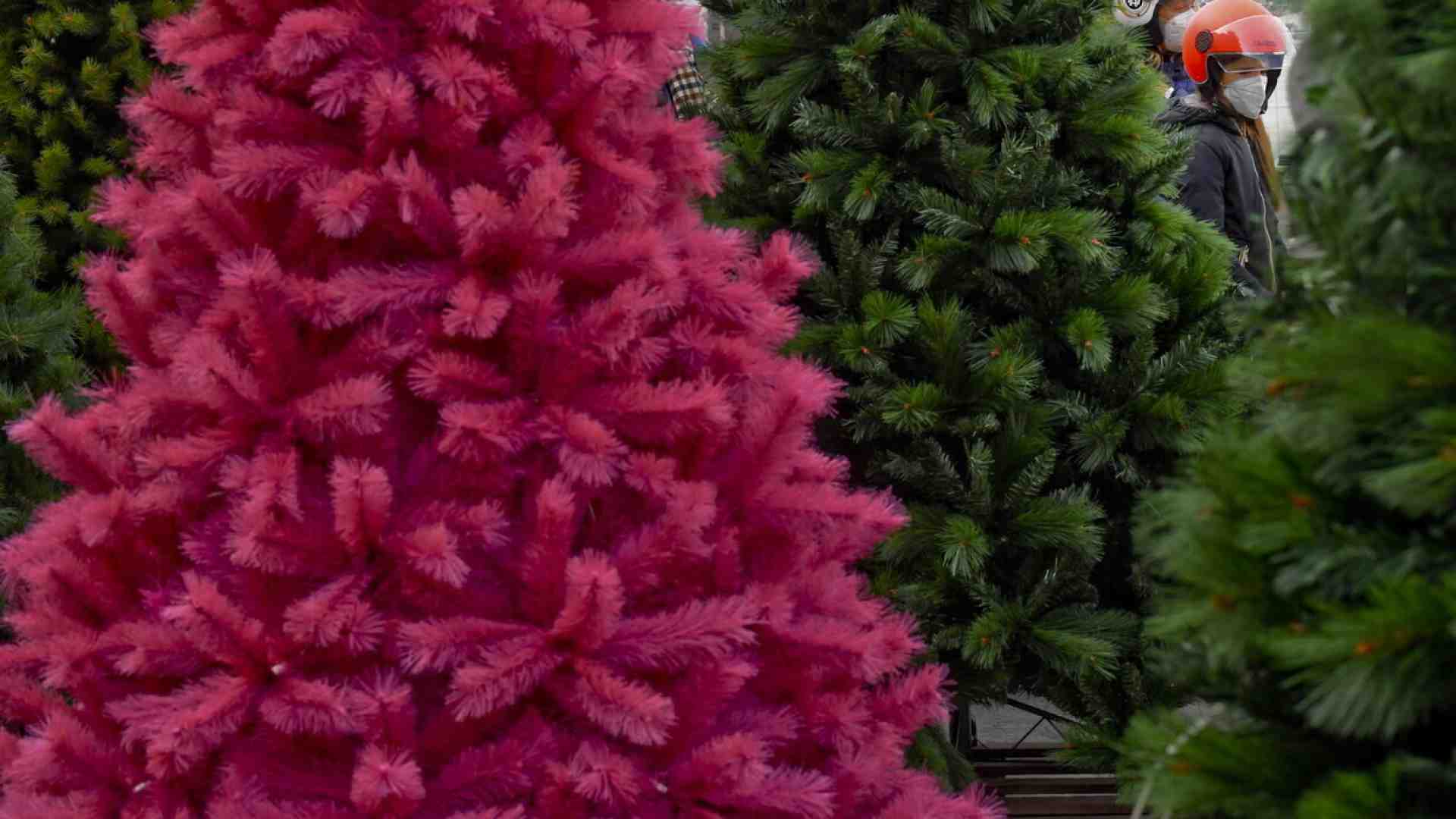 Forse rimpiangerò questi giorni, ma non l’albero di Natale