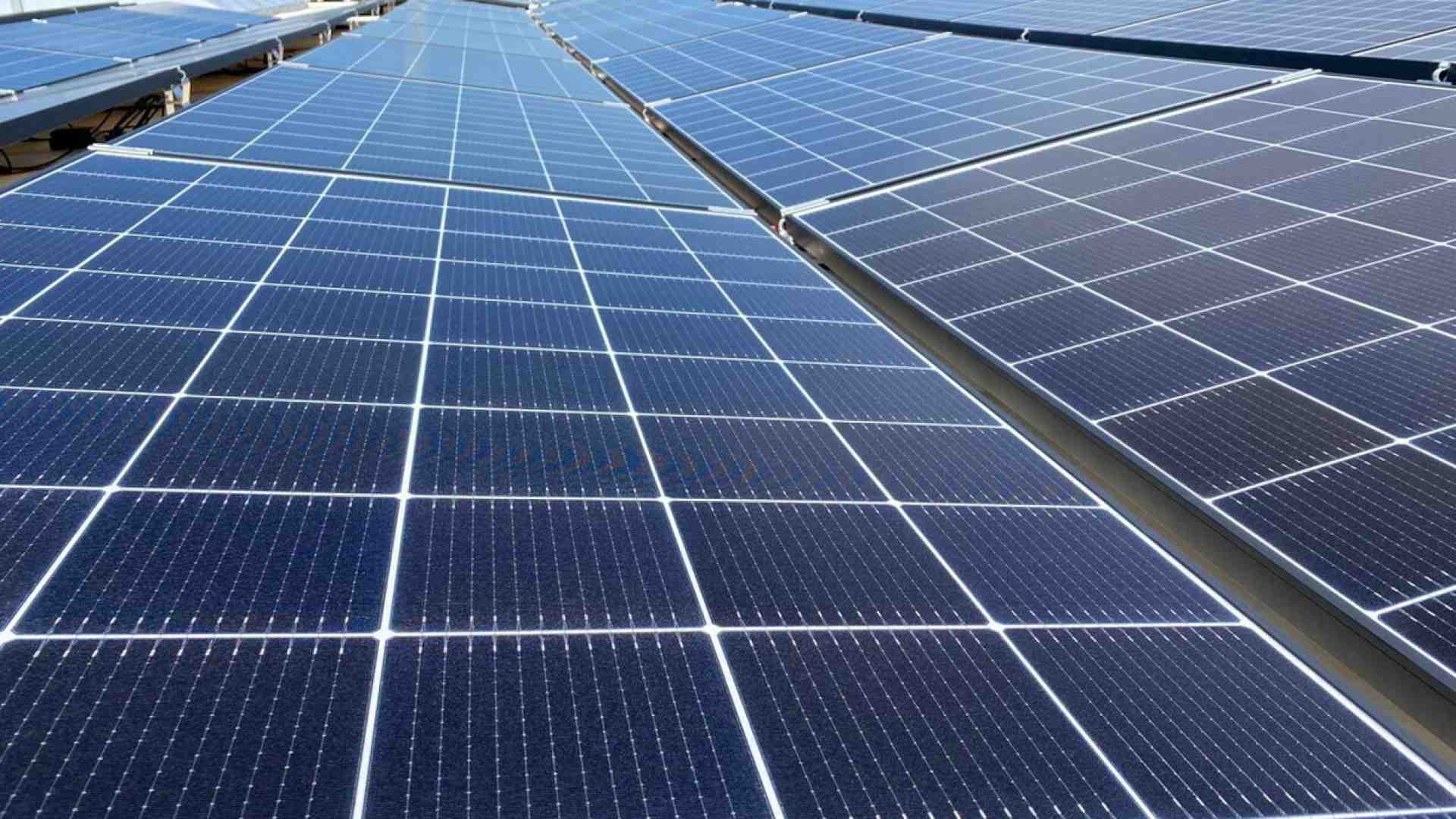 Ecoansiogeni di tutto il mondo, abbiamo buone notizie per voi