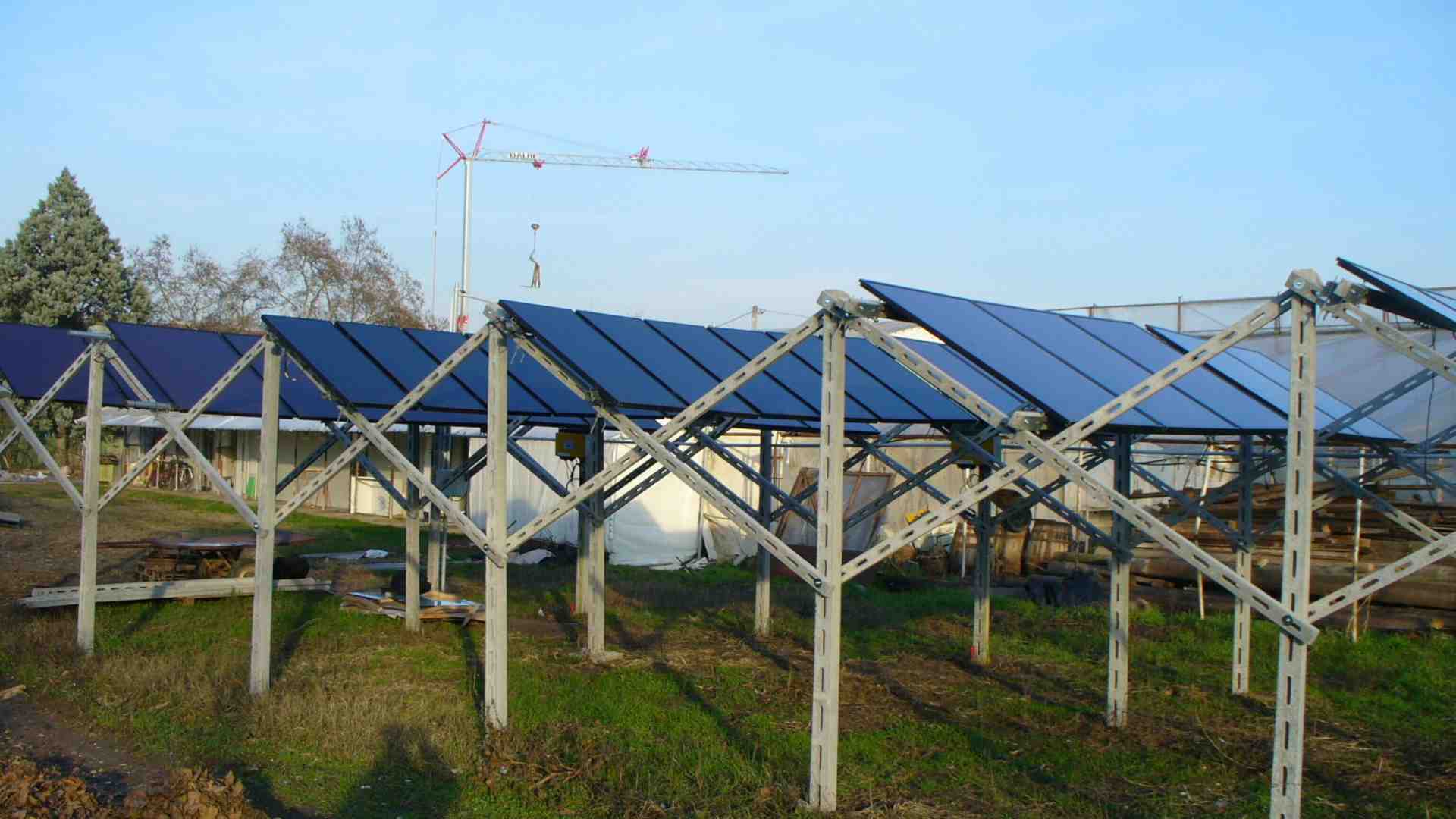 I numeri dietro il boom di agrivoltaico nel 2024