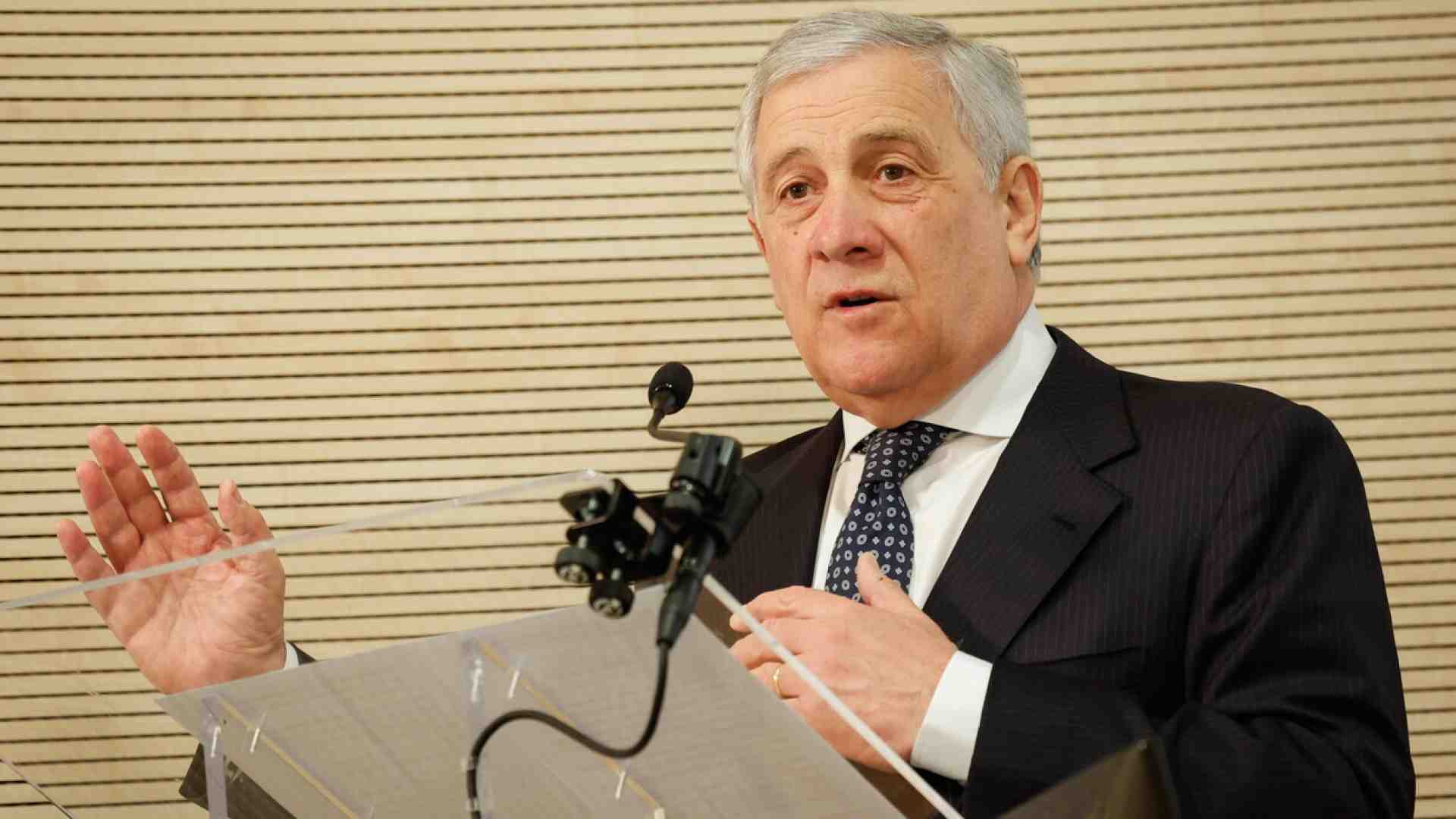 Una destra anti AfD. L'appello di Forza Italia contro i neonazisti tedeschi. E gli altri?