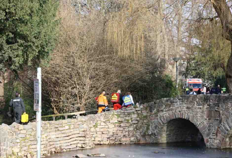 Un bambino di due anni e un uomo di 41 anni sono stati uccisi in un parco in Baviera