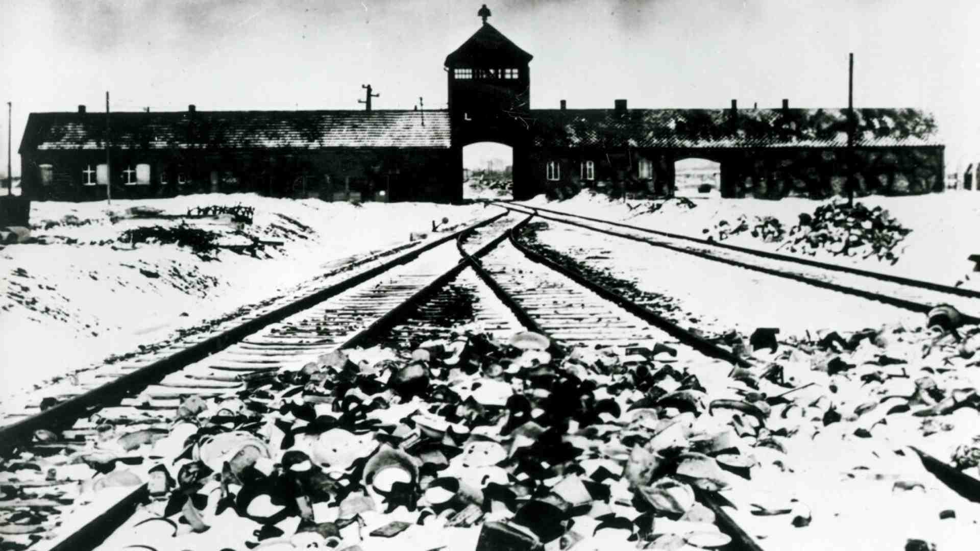 Il figlio di Auschwitz di cui scrive Primo Levi. Non aveva mai visto un albero