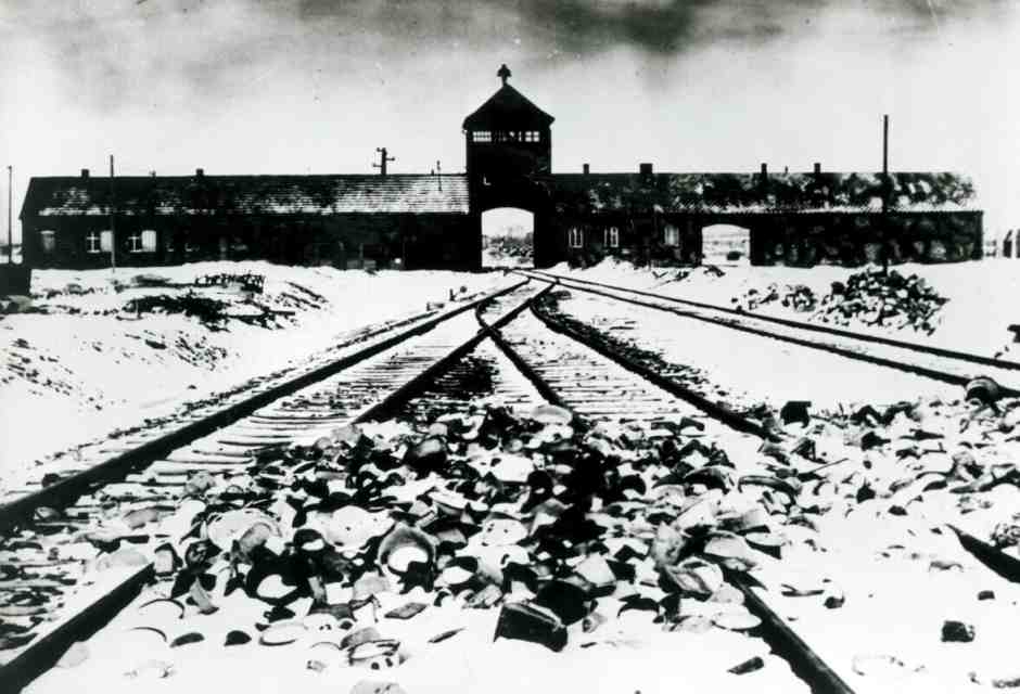 Il figlio di Auschwitz di cui scrive Primo Levi. Non aveva mai visto un albero