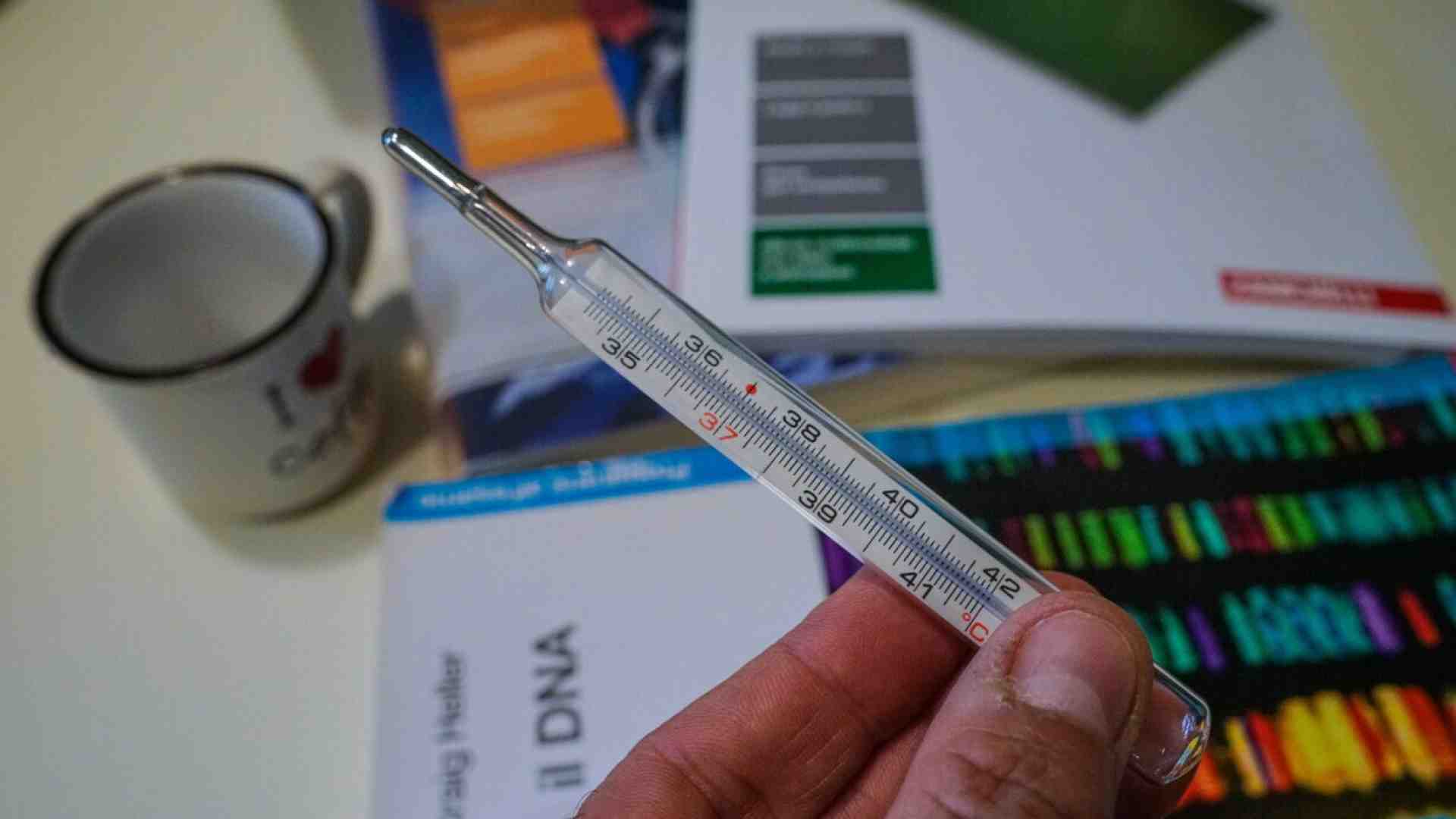 Tutti hanno l’influenza, che esagerazione. Topi blu che ballano