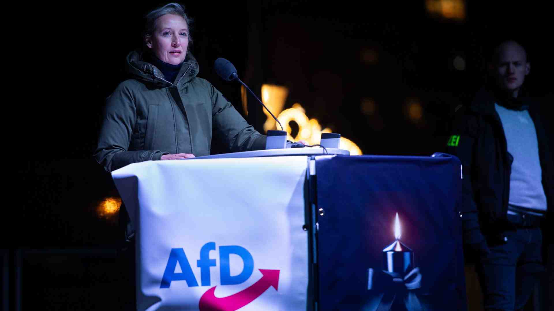 Oggi su X s’incontrano Musk e Weidel , ma non tutta l’AfD gongola