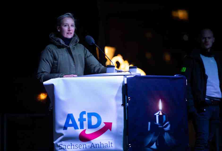 Oggi su X s’incontrano Musk e Weidel , ma non tutta l’AfD gongola