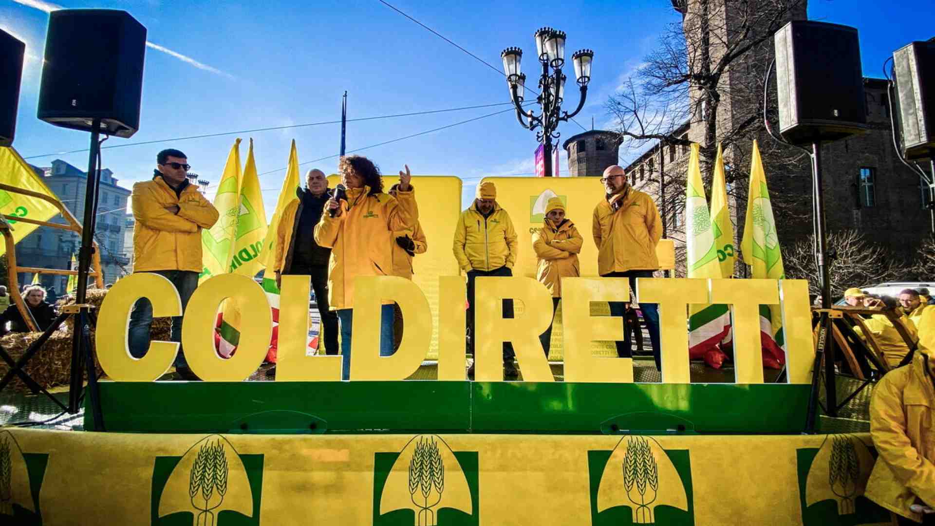 Il solito blitz-buffonata della Coldiretti contro l’importazione di olio d’oliva