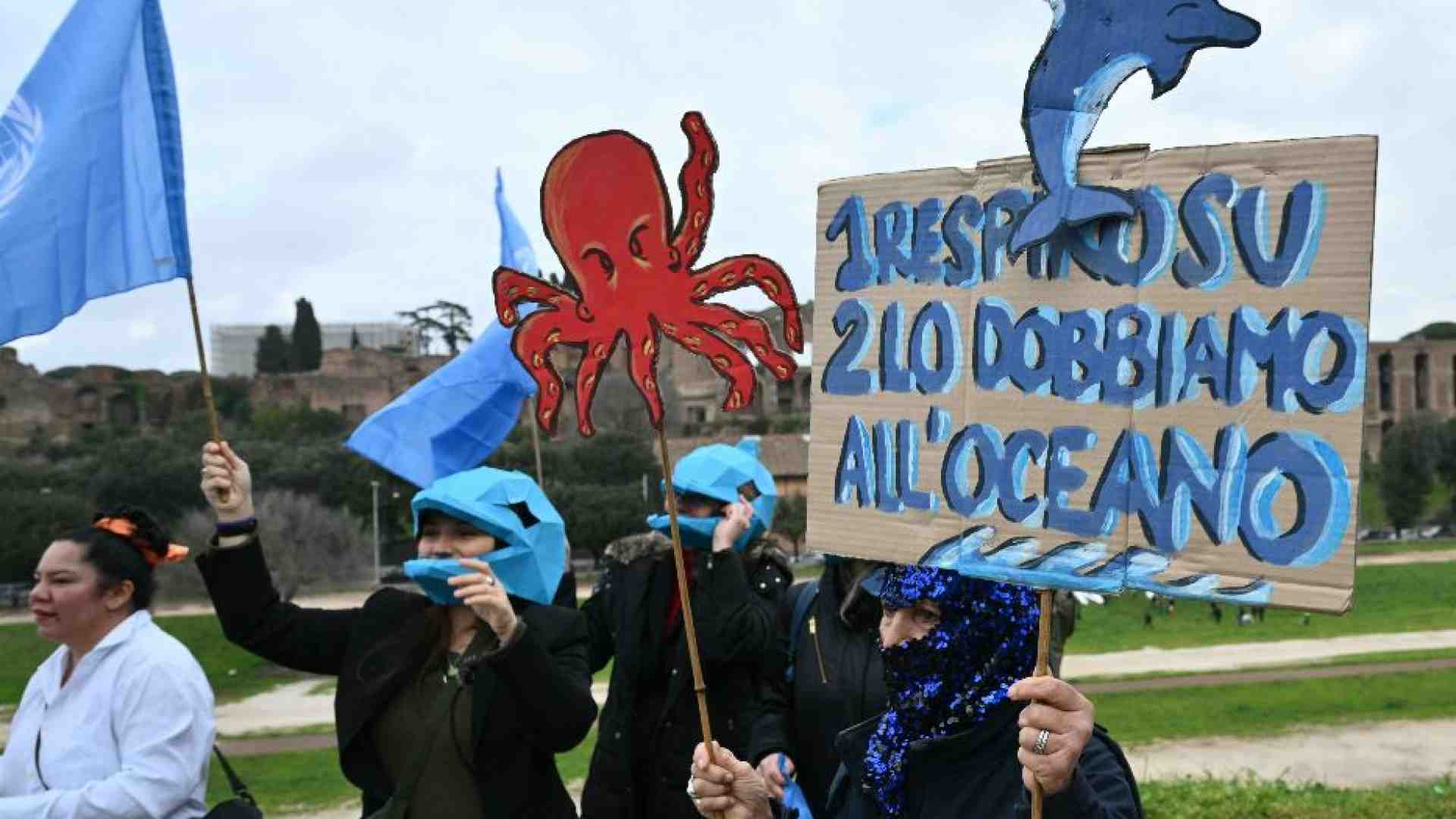 Alla Cop16 si è fatto un accordo in extremis per tutelare la biodiversità