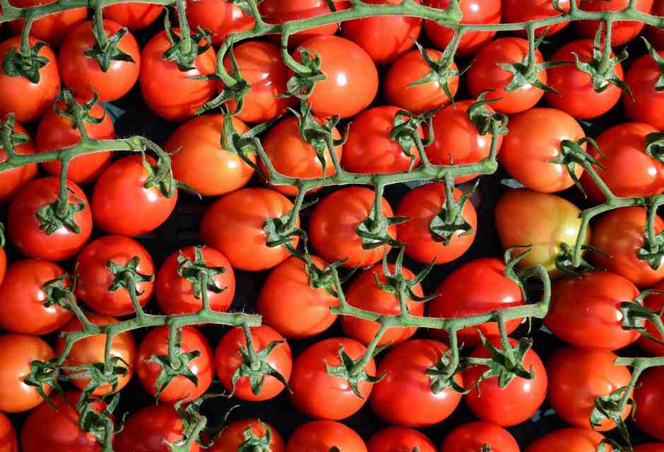 Difendere l’interesse nazionale difendendo il nostro export. Parla il capo di Confagricoltura