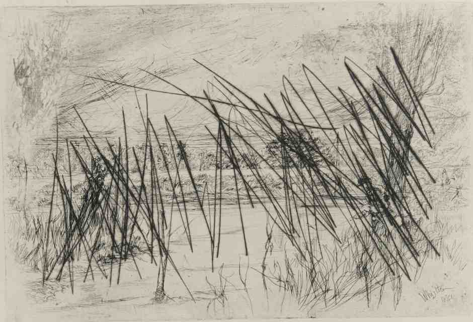 La paura che impedisce di scoprire il mondo