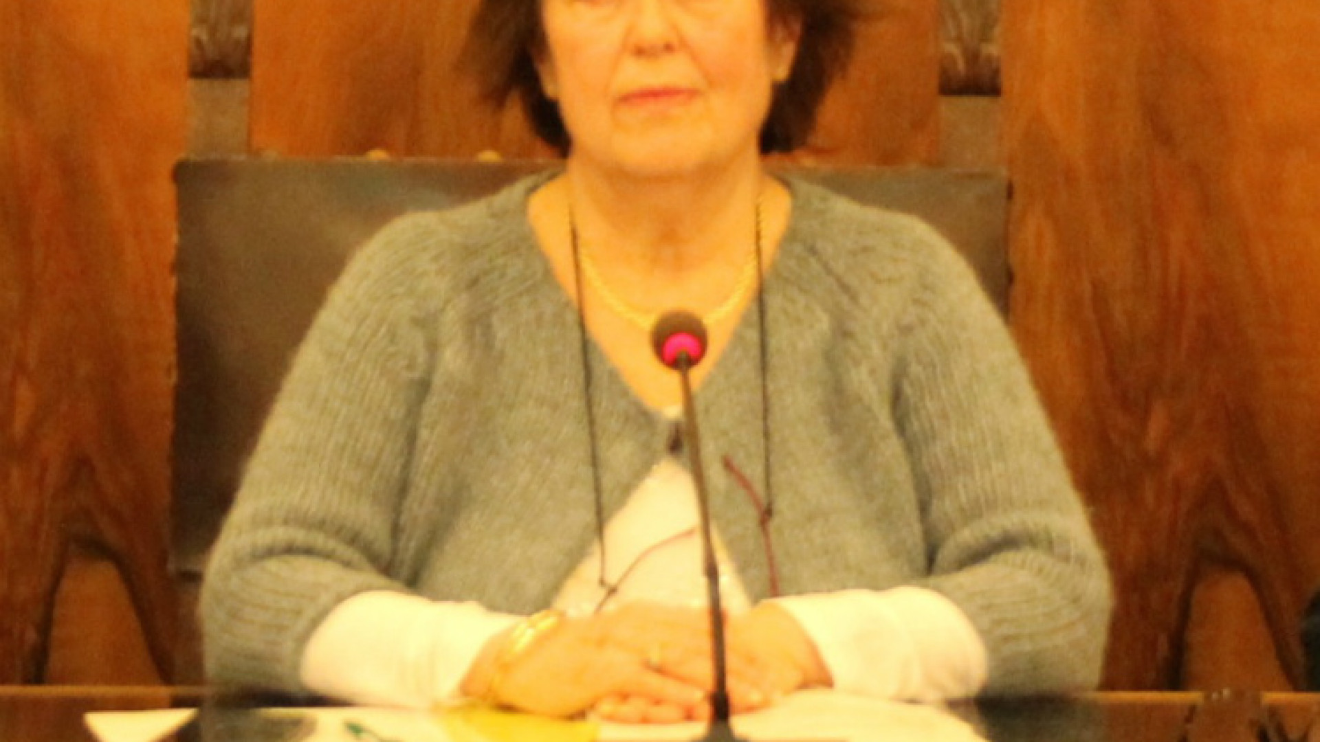 Carmen Fazzi:  «Parità di genere,  solo timidi  passi avanti»