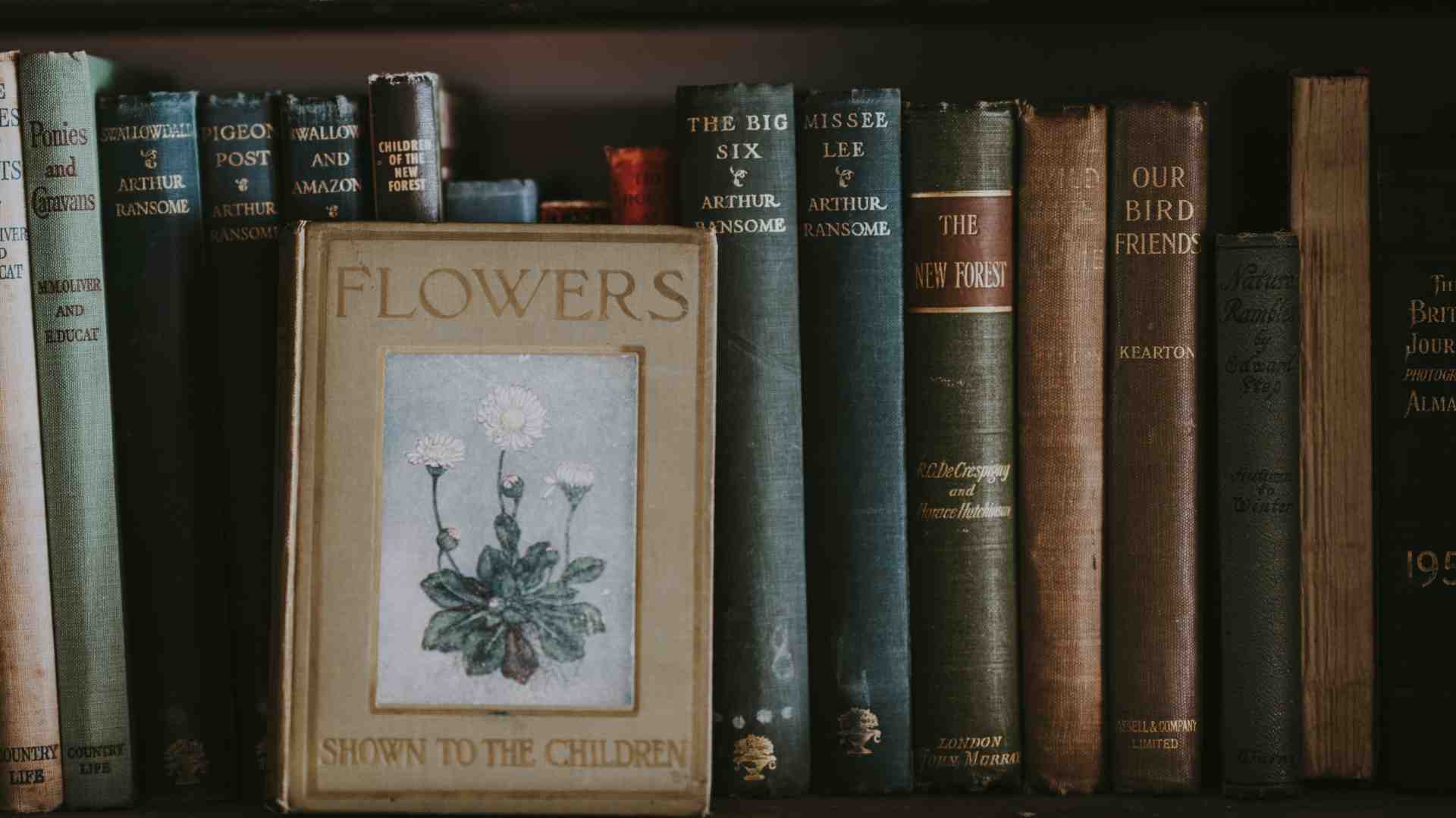 Caro Singer che ci ricordi dell’ambiguità, massimo regalo della letteratura