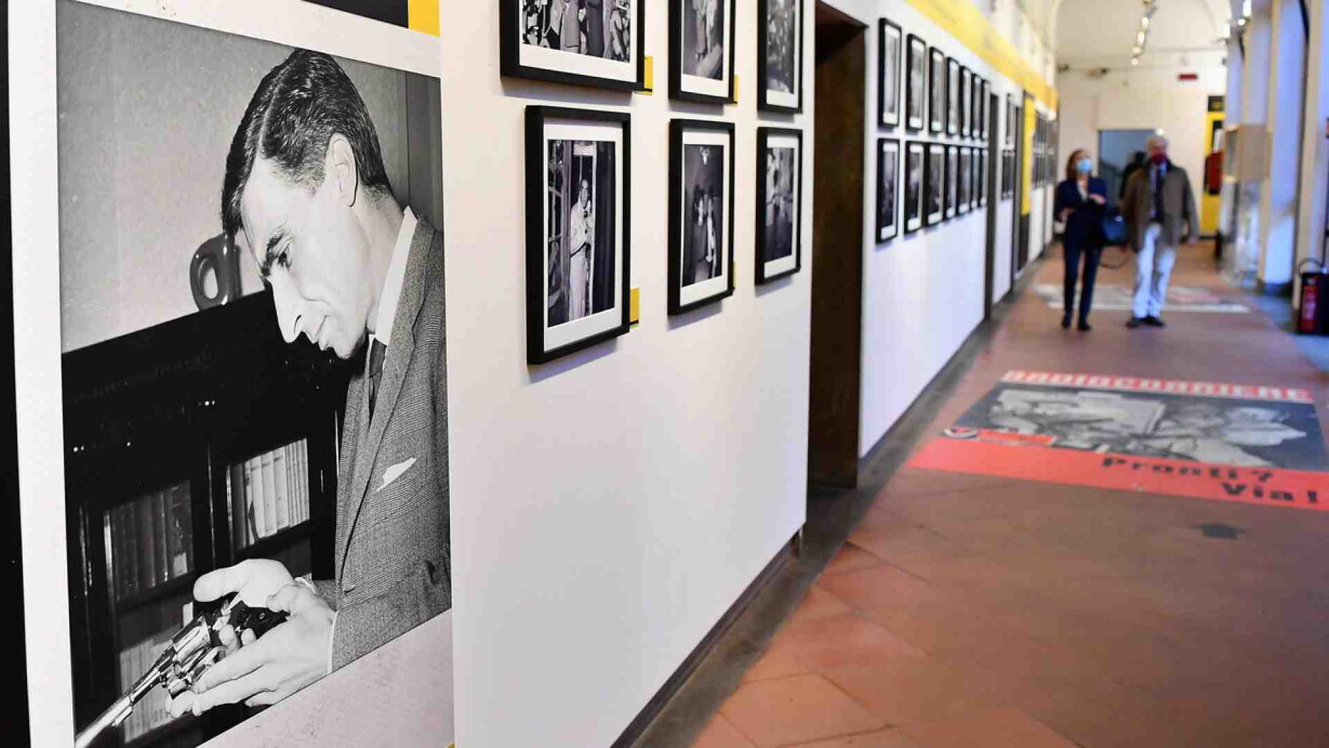 La quercia da cui ancora risuona la voce di Torquato Tasso. Una mostra