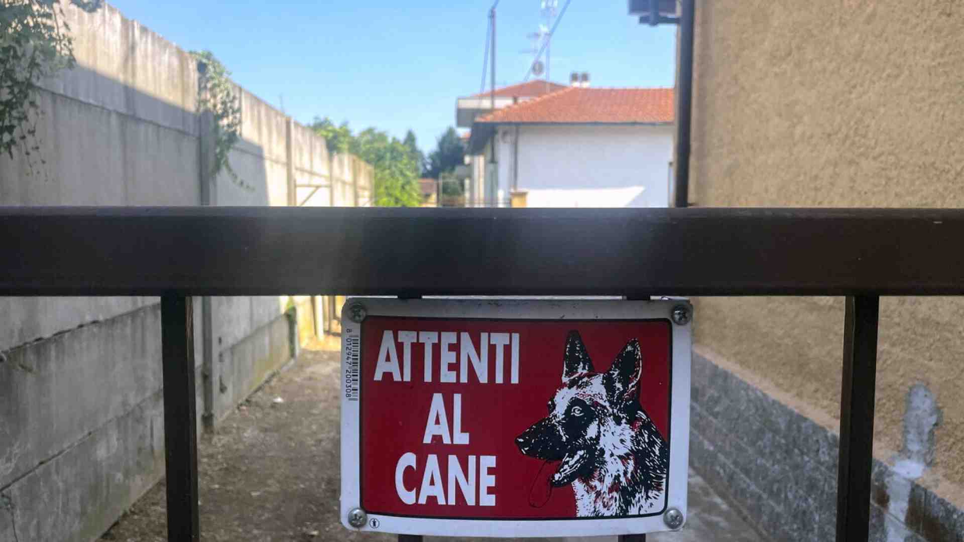 In Italia i sacrifici umani avvengono per colpa dei cani