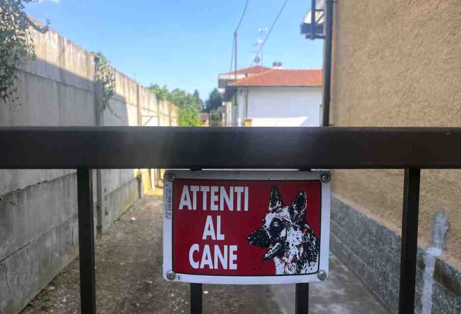 In Italia i sacrifici umani avvengono per colpa dei cani