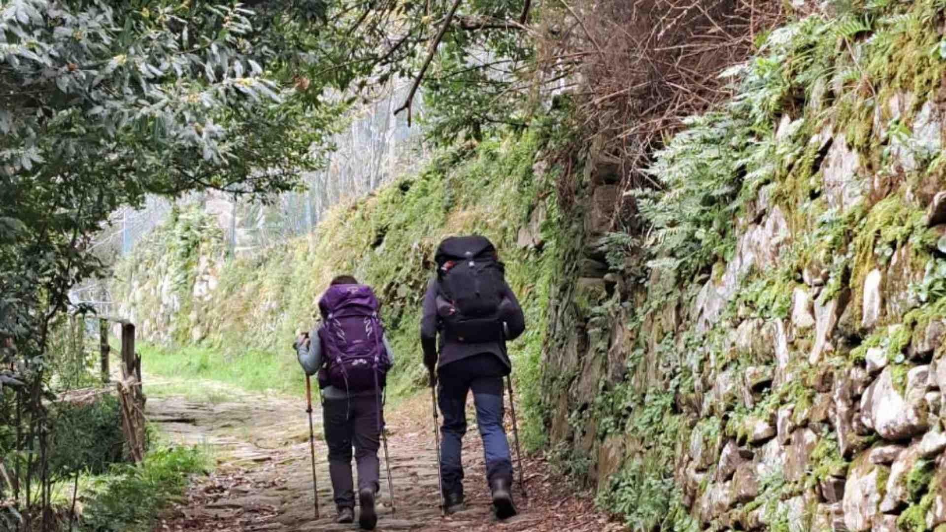 «Cammini e pellegrini, così la speranza si mette in marcia»